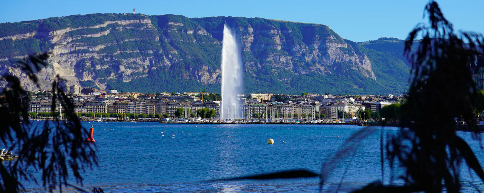 Le jet d'eau et la rade de Genève